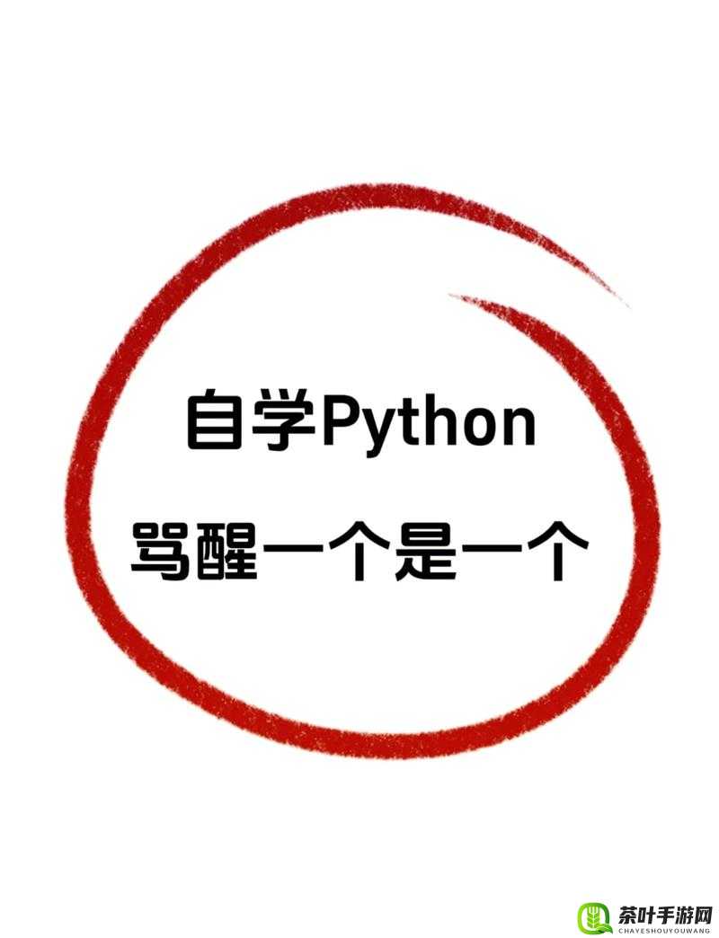 PYTHON 人马大战 CSDN 免费专区：一场激烈的知识对决