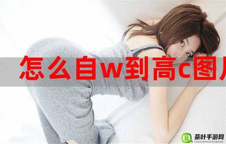 自 W 到高 C 的 50 种图片教程详细解读与示例