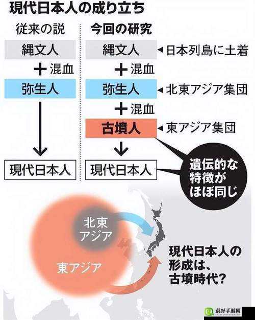 日本人 DNA 和中国人 DNA 对比研究及遗传特征分析