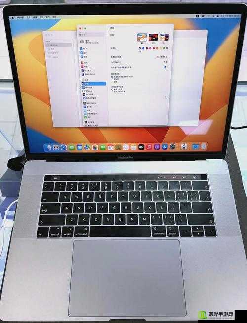 19 岁少年拥有未到使用年龄的 MacBook Pro，引发热议