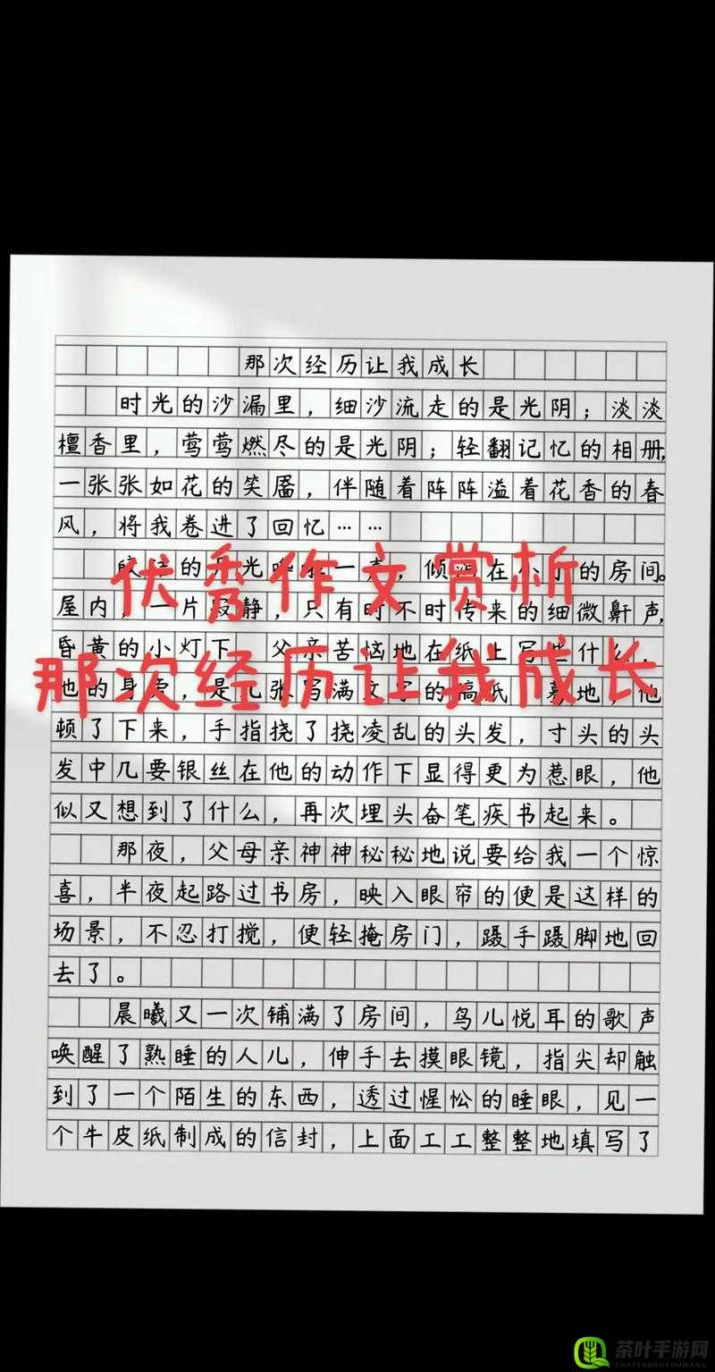 打女孩子光阴的作文 1200 字：探究家庭暴力的危害