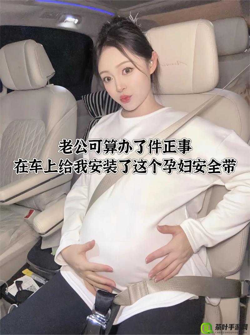 Wheeltpe 孕妇轮：为孕期妈妈出行保驾护航的贴心伙伴