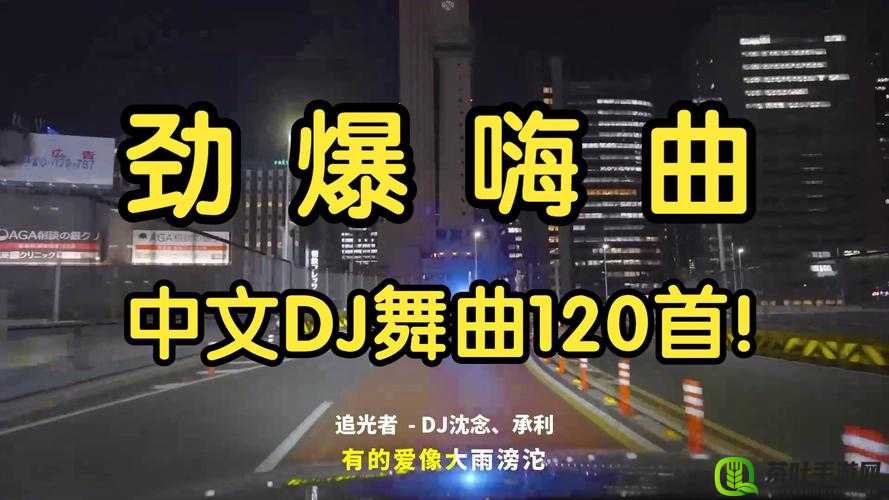 dj 快了又快又骚的 pop 歌曲嗨翻全场激情无限