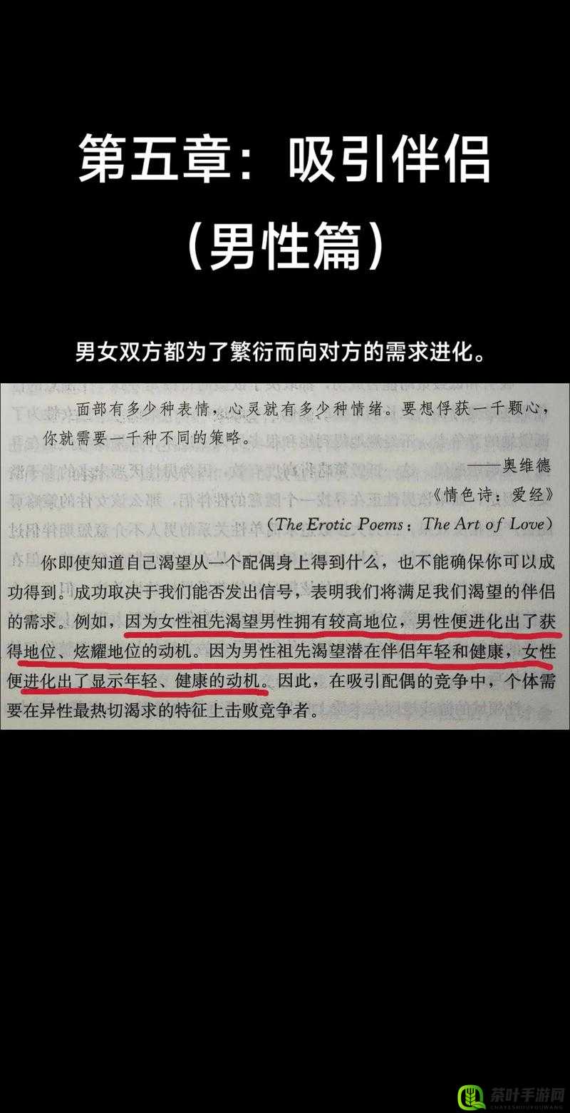 亚洲成人黄色：探索欲望与道德边界的争议话题